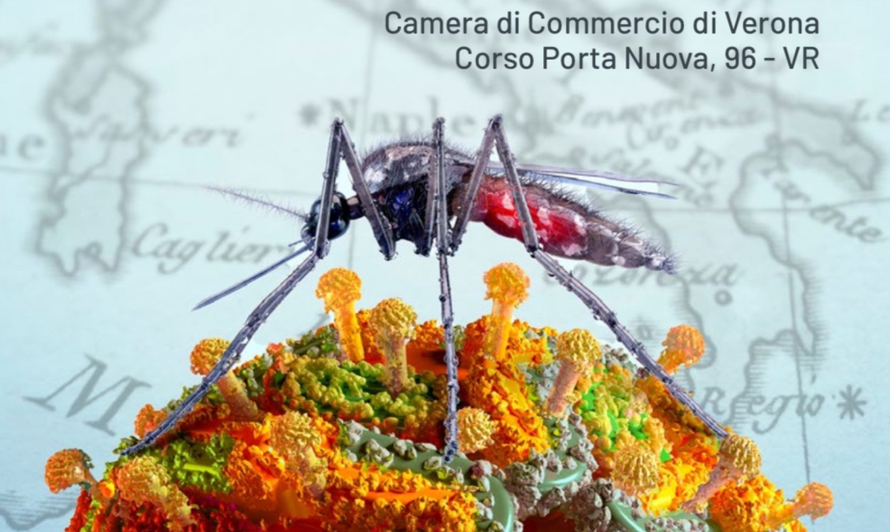 ARBOVIROSI - Nuove sfide per l'Italia