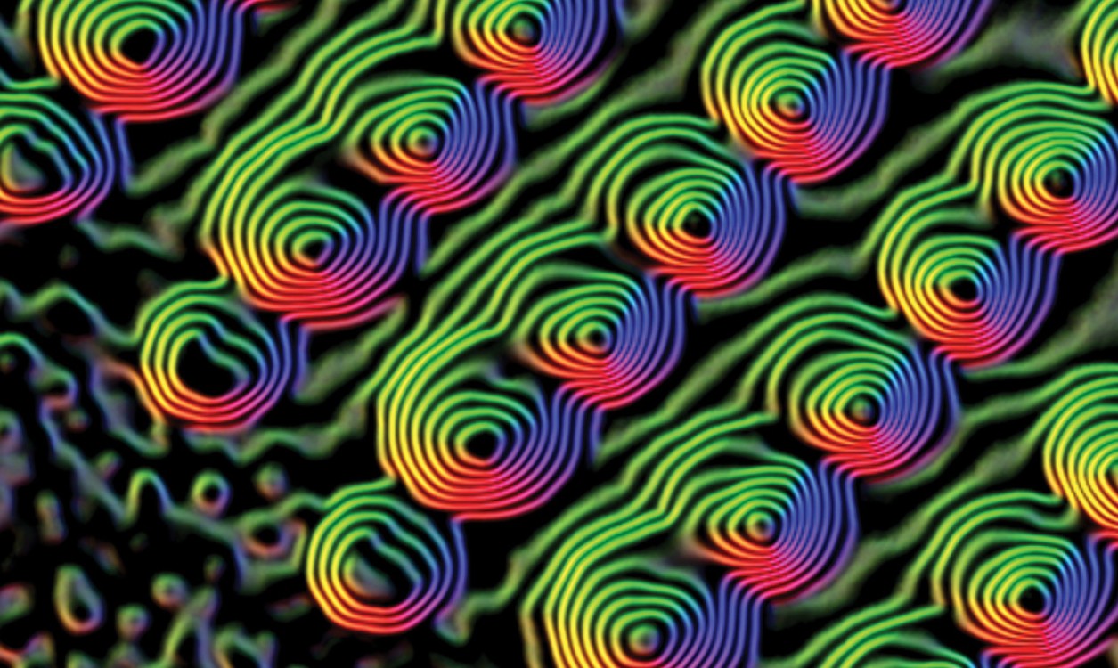 Poliovirus derivato da vaccino: l’importanza della vaccinazione per i viaggiatori