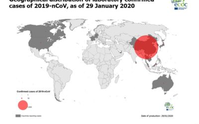 Aggiornamento 29 gennaio 2020 nuovo coronavirus 2019-nCoV