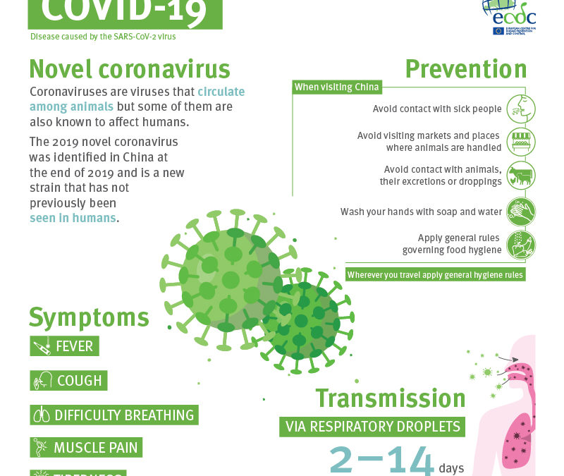Aggiornamento 14 febbraio nuovo coronavirus SARS-CoV-2